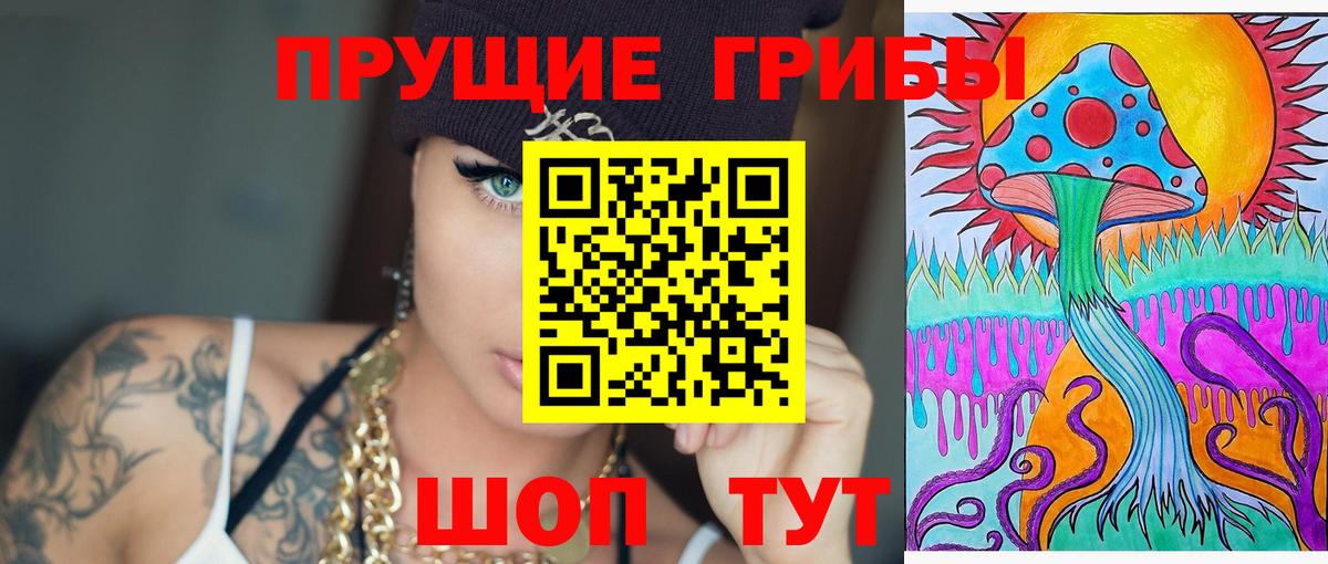 Псилоцибиновые грибы Psilocybe  Галлюциногенные грибы Psilocybe  Каменск-Уральский  Вход с VPN 